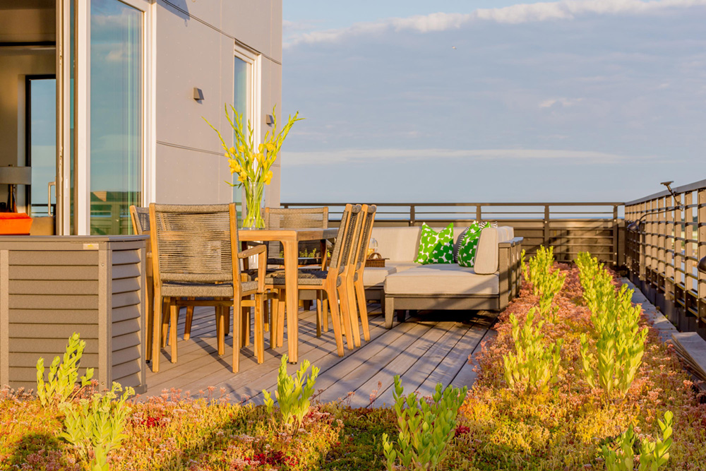 Living with a (pink, chartreuse, burgundy, bronze, and) green roof